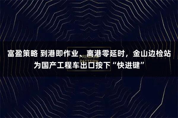 富盈策略 到港即作业、离港零延时,金山边检站为国产工程车出口按下“快进键”
