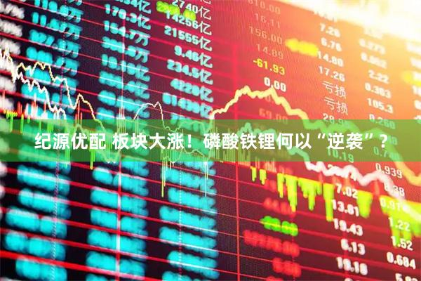 纪源优配 板块大涨！磷酸铁锂何以“逆袭”？